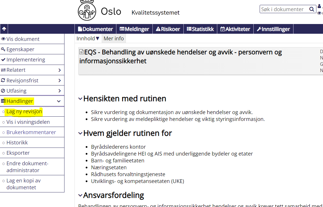 Skjermbilde_EQS_Revisjon_dokument.PNG